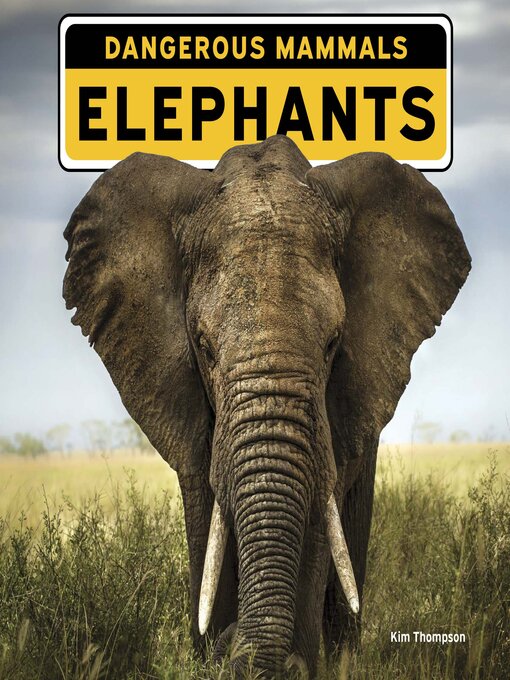 Title details for Elephants by Kim Thompson - Available